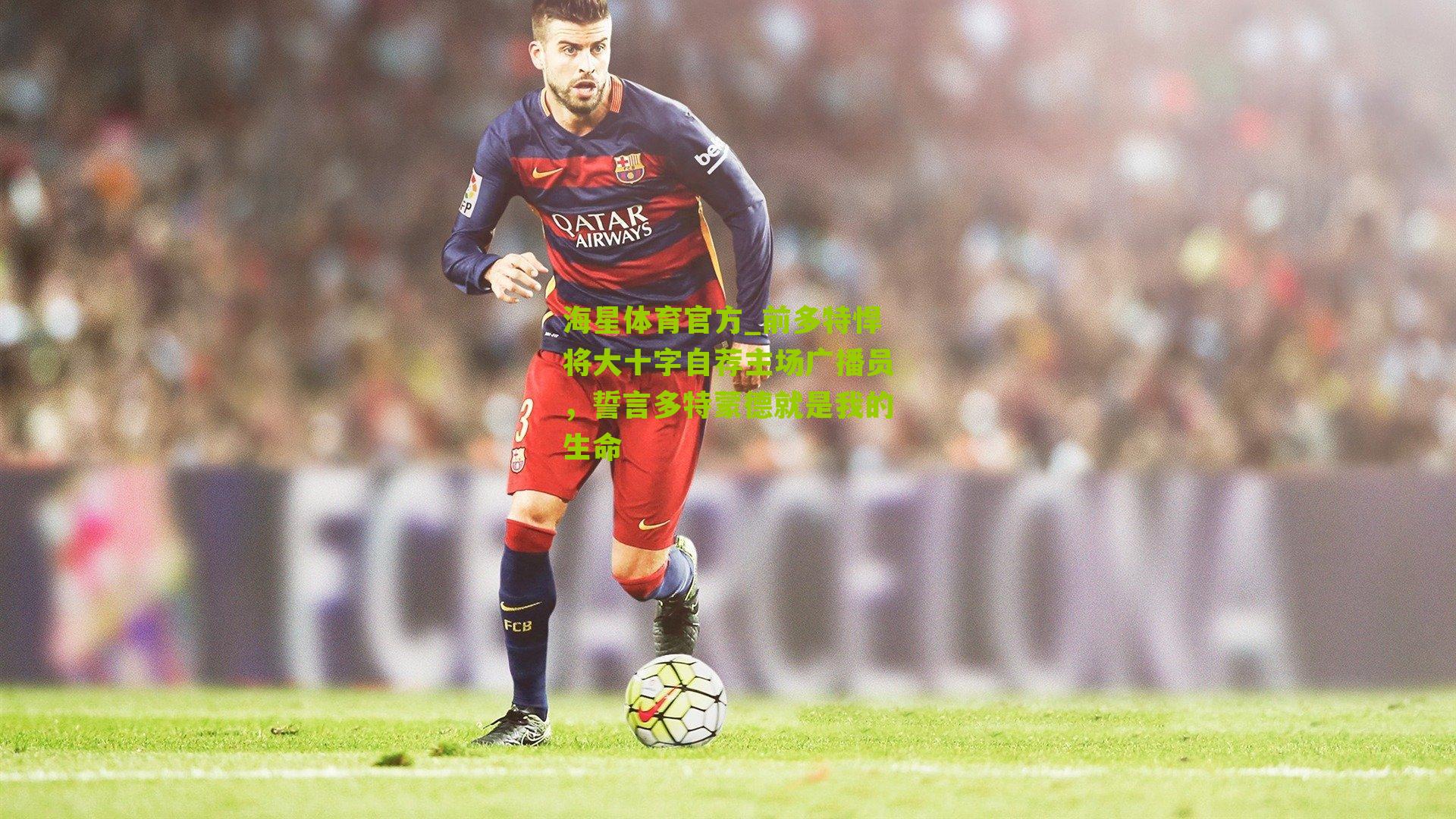 前多特悍将大十字自荐主场广播员，誓言多特蒙德就是我的生命