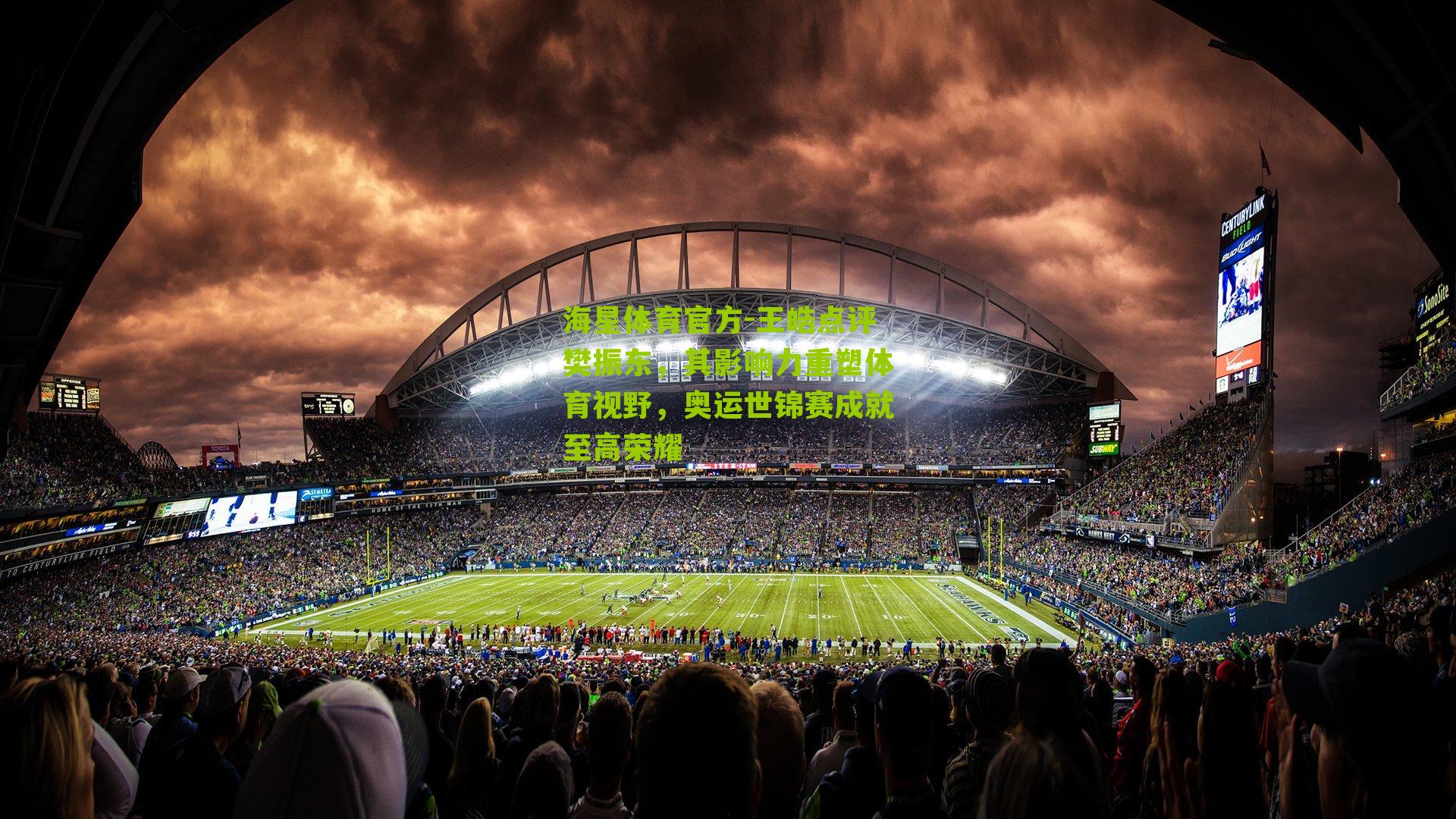 海星体育官方-王皓点评樊振东，其影响力重塑体育视野，奥运世锦赛成就至高荣耀