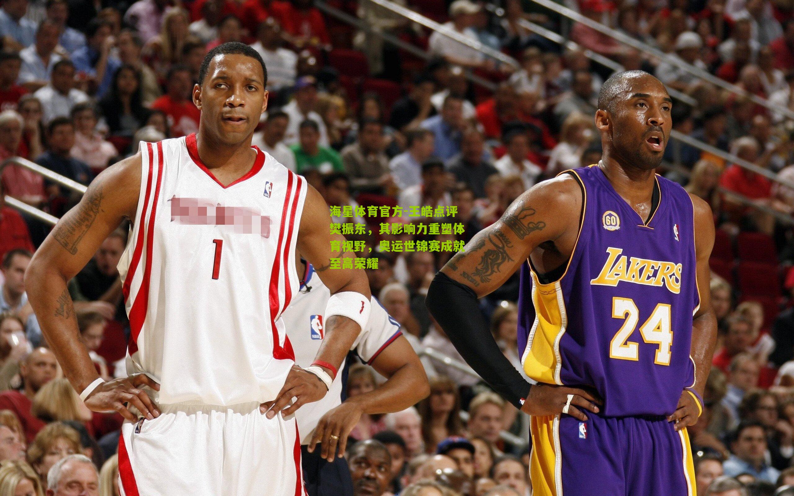 王皓点评樊振东，其影响力重塑体育视野，奥运世锦赛成就至高荣耀